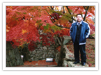 紅葉の美しい津山城