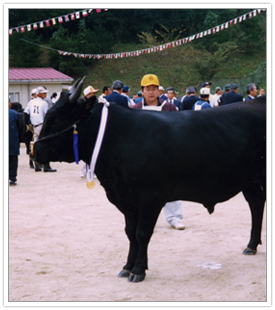 津山和牛写真